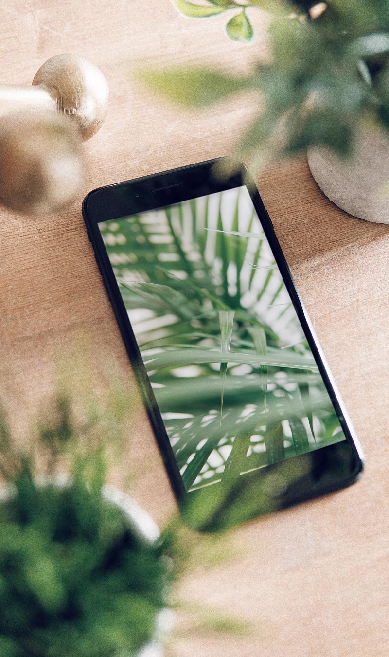 business structure accountants